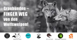 Finger Weg von den Wolfswelpen